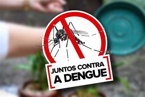 Dia Nacional De Combate Ao Aedes Aegypti Neste S Bado Geral