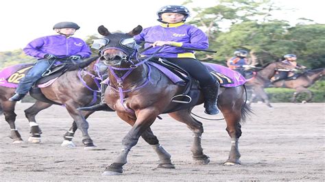 【新馬戦】イゾラフェリーチェは注目のエフフォーリア妹 鹿戸師「気性は素直で穏やか」 2023年10月20日掲載 ライブドアニュース