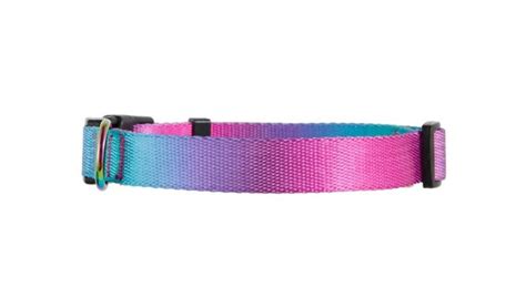 New Collar | Poodle Forum