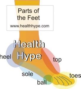 Sore Feet – Causes of Aching in the Toes, Sole, Ball and Heel ...