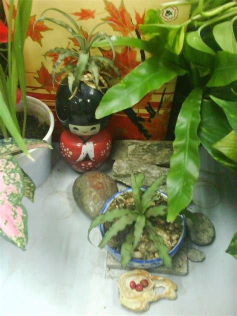 Garden Chronicles: Indoor Plants - Office Cubicle