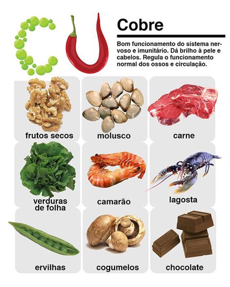 Top 10 Alimentos Ricos Em Cobre Que Você Deve Incluir Em Sua Dieta