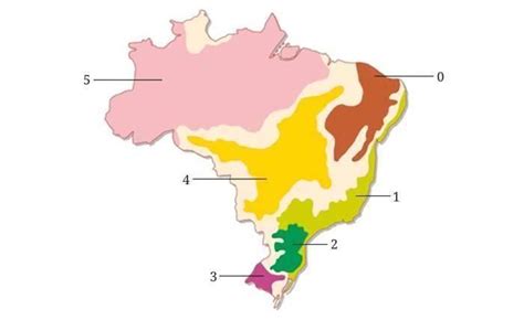 Observe O Mapa Das Forma Es Vegetais Do Brasil Identifique As