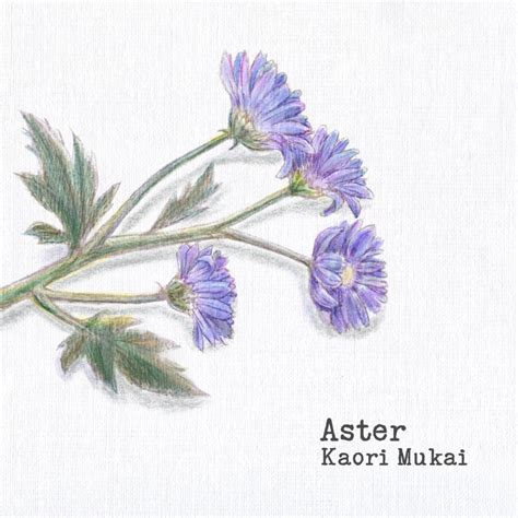 Aster By 向 香織 Tunecore Japan