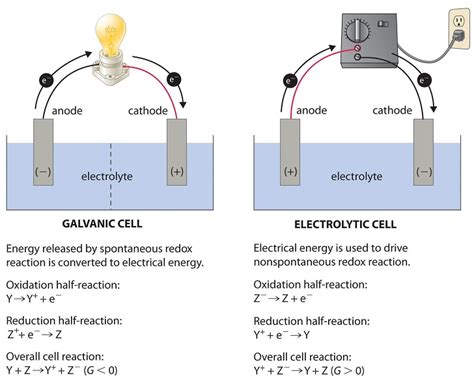 Which Type Of Reaction Does This Diagram Represent - Wiring Diagram