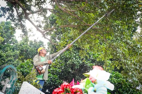 Prensa Alcaldía San Salvador on Twitter Las acciones de chapoda