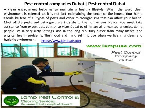 Ppt Pest Control Company Dubai Lampuae Powerpoint Presentation Free Download Id11286107