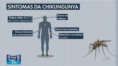 Relatos De Quem Teve Chikungunya - NSC Notícias - SC | Caso de chikungunya é confirmado em Santa Catarina ...