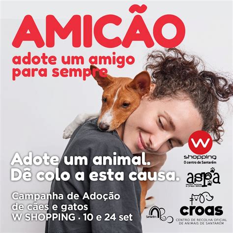 Santarém Adote um amigo para sempre Campanha de sensibilização