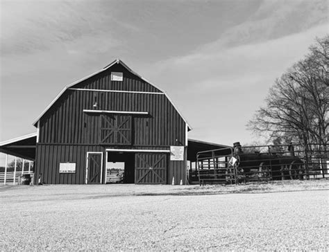 Friends Of Kinder Farm Park