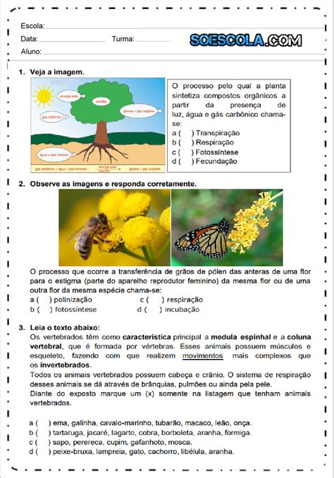 Atividades de Ciências 4 ano do Ensino Fundamental Para Imprimir