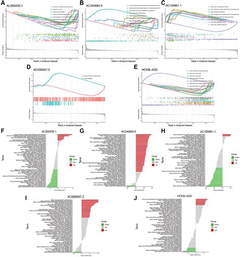 Identification And Validation Of Oxeiptosis Associated Lncrnas And