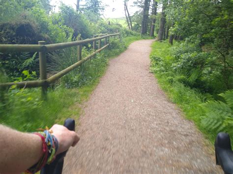 Birthday Bash. First Metric Century. : r/gravelcycling