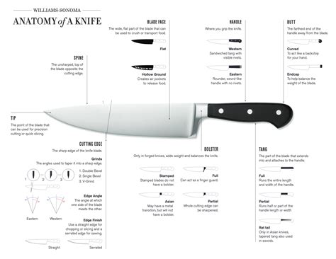 Basic Parts Of A Knife