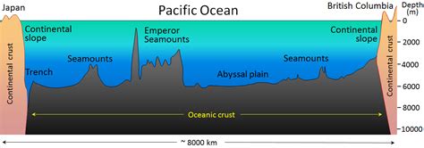 18.1 The Topography of the Sea Floor – Physical Geology