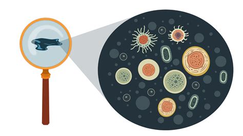 Microorganisms And Bacteria Theme Of Laboratory Biological Research