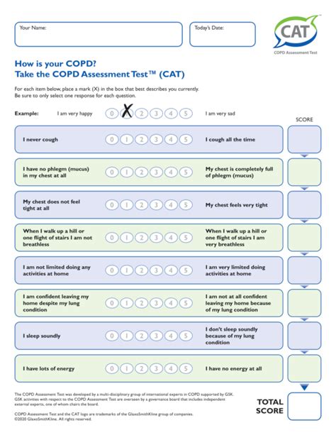 Copd Assessment Test Cat Score Interpretation World Oscar