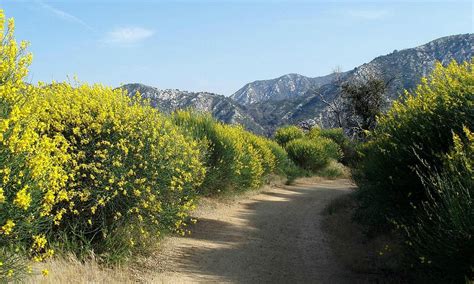 Altadena 2021: Best of Altadena, CA Tourism - Tripadvisor