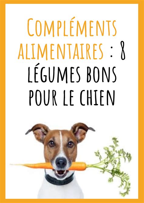 Compl Ments Alimentaires L Gumes Bons Pour Le Chien Chien