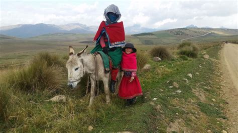 All you need to know about Cotopaxi National Park - Wanderbus Ecuador