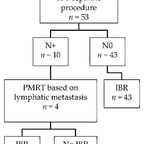 Flow Chart Of Patients Who Underwent Sentinel Lymph Node Biopsy Slnb