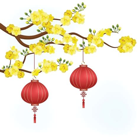 Apricot Blossom Images Stock Photos D Objects Vectors