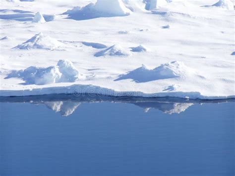 Ice Edge Stock Photo Image Of Glossy Glazed Antarctica 392578