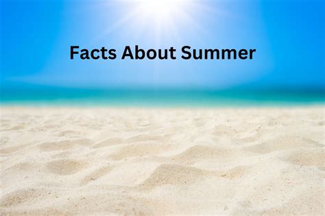 Summer Fun Facts 2024 - Rena Valina