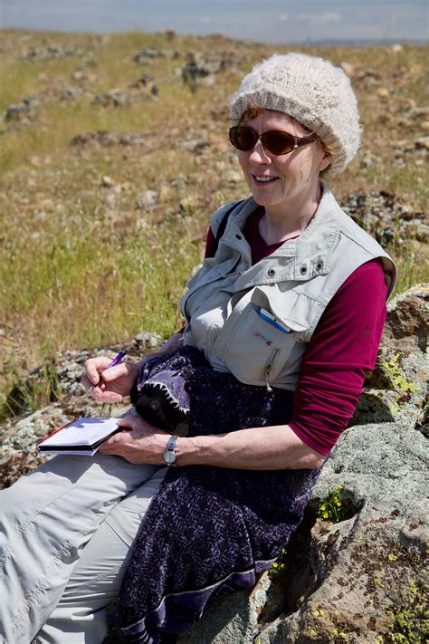 Gillian Foulger — Geology Bites