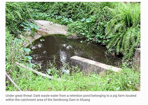 solidariti keadilan layang empangan sembrong  kelamaan  pupus