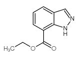 1 H Indazol 7 Carboxilato De Etilo CAS 885278 74 0 Proveedor De