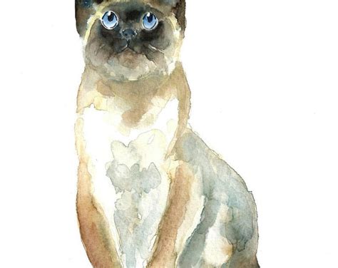 Cat By Dimdiart Original Watercolor Painting X Inchxxxxall Etsy