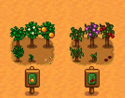 Stardew Valley Planting Trees In Pots Frederica Kirby