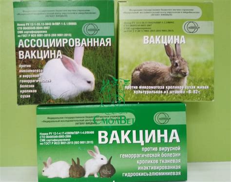 Прививка для кроликов от миксоматоза: подробная инструкция, дозировка и ...
