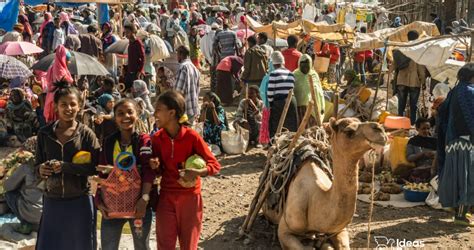 Reimagining Sustainable Peace In Tigray A Transitional Justice