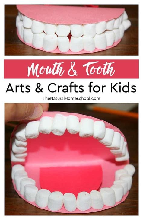 Mouth And Tooth Arts And Crafts For Kids The Natural Homeschool Teeth