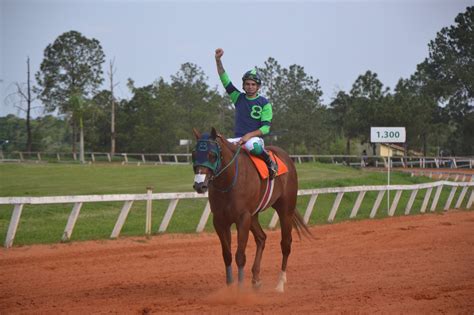 Fantastic Feature Vence Gp Campe O Dos Campe Es No Jockey Club De Sorocaba