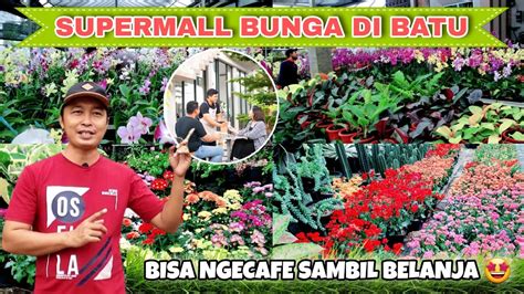 Toko Bunga Mitra Flora Batu Surganya Belanja Bunga Dan Tanaman Hias