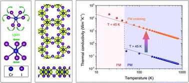 Giant Effect Of Spinlattice Coupling On The Thermal Transport In Two