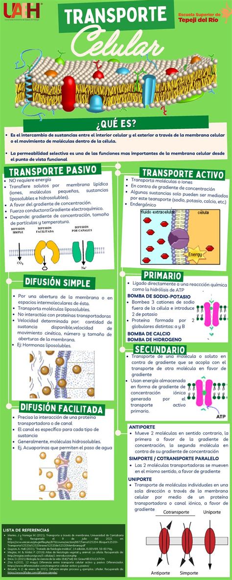 Infografía de Transporte celular Fisiologia de Guyton QUÉ ES QUÉ ES