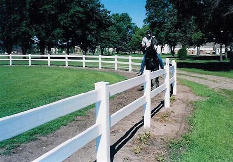 White Horse Fence | Horse fencing, White horse, Horses