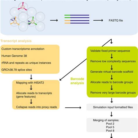 Workflow Of Proximity Rna Seq Closecall And Sample Processing Reverse Download Scientific