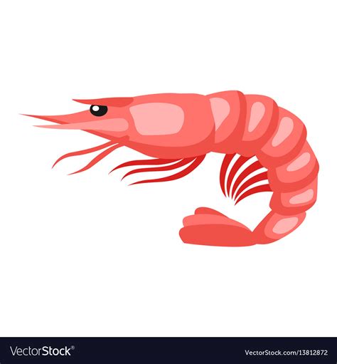 Cooked Tiger Shrimp Isolated Royalty Free Vector Image