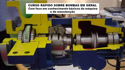 O Que Significa Macho Bomba