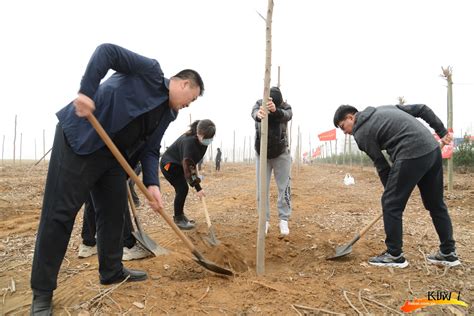 古冶：春季造林绿化掀热潮 唐山频道 长城网