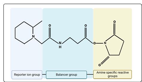 Figure From Comprehensive Overview Of Bottom Up Proteomics Using Mass