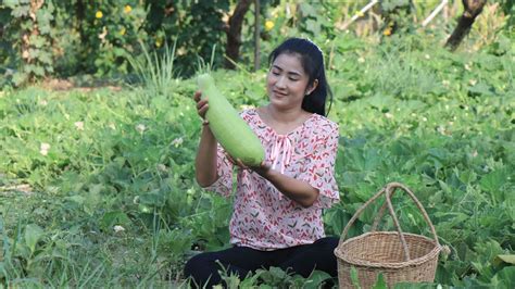 Easy And Yummy Bottle Gourd Recipes Homemade Cooking Prepare By Countryside Life Tv Youtube