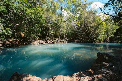 Visiting Cardwell Spa Pools In Queensland Complete Guide