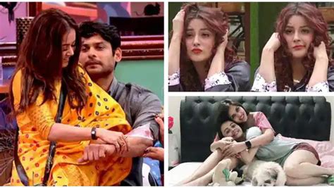 Bigg Boss 13 Devoleena Bhattacharjee Feels She Siddharth Shukla Will