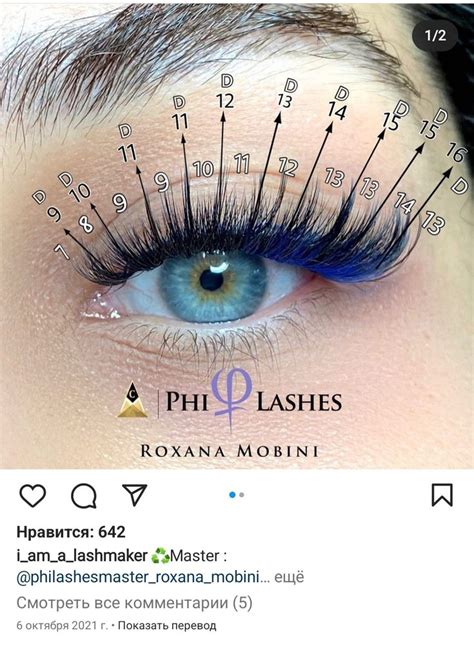 Pin De Katerina Bolehan En Wimpern En Pesta As Postizas